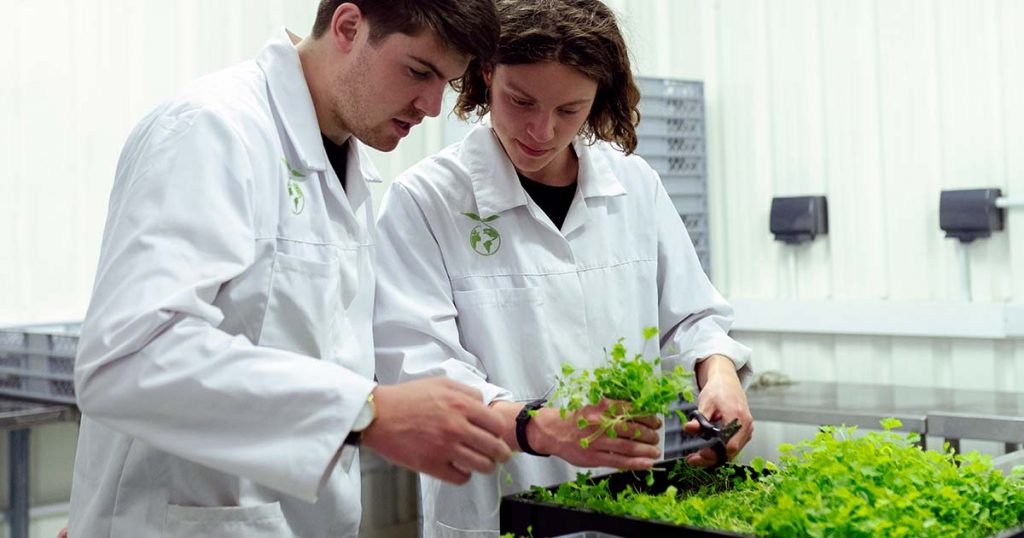 Food Industry Stratt
