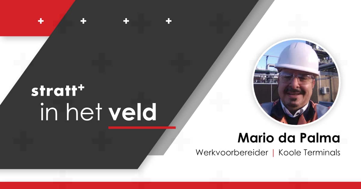 Stratt+ in het Veld - Mario